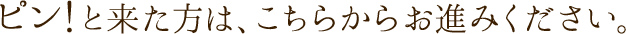 ピン!と来た方は、こちらからお進みください。
