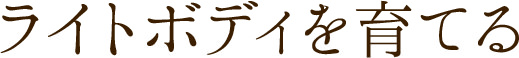 ライトボディを育てる